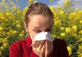 Researchers develop new ‘nasal molecular shield’ to relieve hay fever