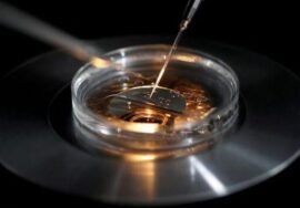 Three-person IVF technique spared children from inherited diseases, say scientists