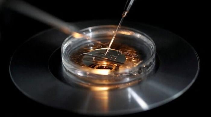 Three-person IVF technique spared children from inherited diseases, say scientists Three-person IVF technique spared children from inherited diseases, say scientists