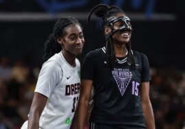 WNBA game interrupted by flying sex toy