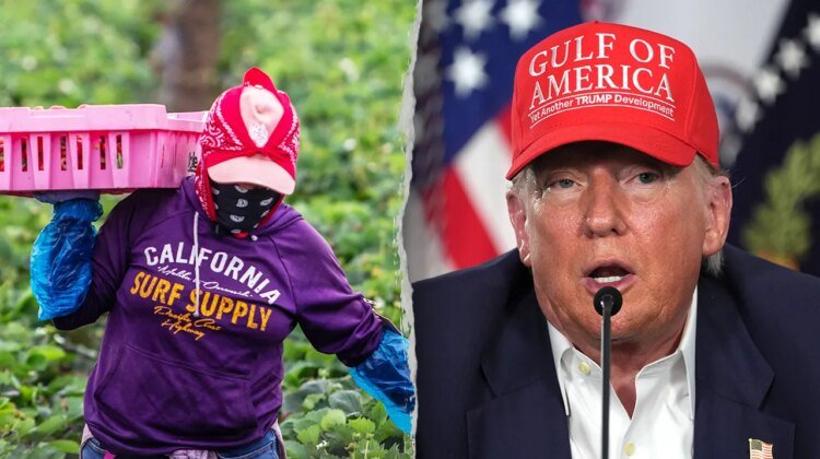 New Trump plan to let farmers vouch for illegal migrants before they get deported New Trump plan to let farmers vouch for illegal migrants before they get deported