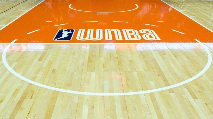 Crypto group says it orchestrated sex toy tosses in WNBA games