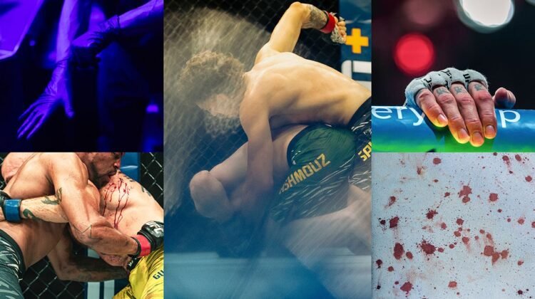 The bloody life of a UFC Octagon The bloody life of a UFC Octagon