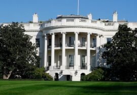 Dana White says UFC Fight Night at White House ‘going to happen’