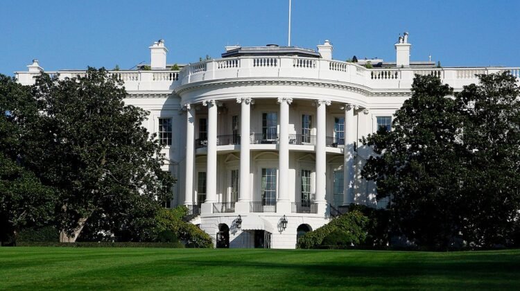 Dana White says UFC Fight Night at White House ‘going to happen’ Dana White says UFC Fight Night at White House ‘going to happen’