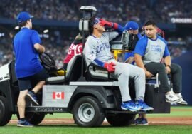 Cubs catcher Miguel Amaya carted off after injuring ankle