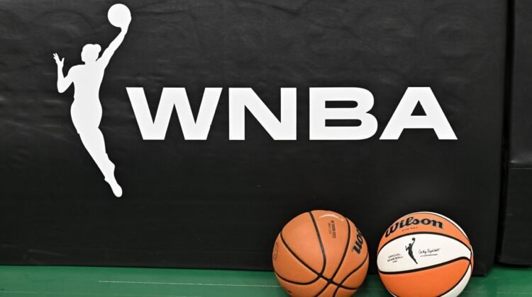 Ohio man charged for WNBA sex-toy throwing at Liberty game Ohio man charged for WNBA sex-toy throwing at Liberty game