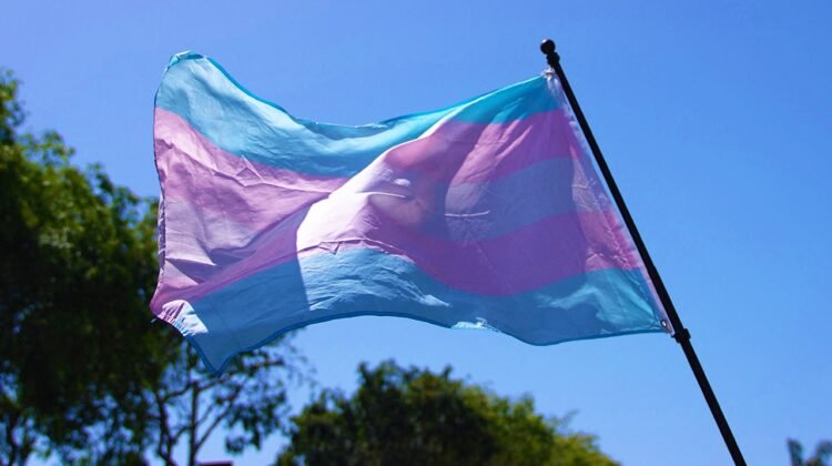 Federal appeals court upholds Arkansas gender transition ban for minors Federal appeals court upholds Arkansas gender transition ban for minors