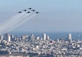 7 bizarre July stories from Blue Angels cat lawsui…