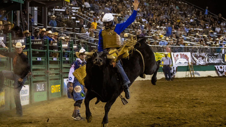 Fox Nation enters live sports streaming with ‘PBR Friday Night Live’ Fox Nation enters live sports streaming with ‘PBR Friday Night Live’
