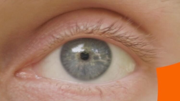 What if we could cure blindness? What if we could cure blindness?