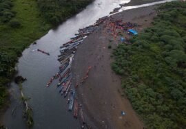 Darien Gap migrant crossings plummet from 82,000 t…