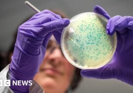 AI designs new superbug-killing antibiotics for gonorrhoea and MRSA