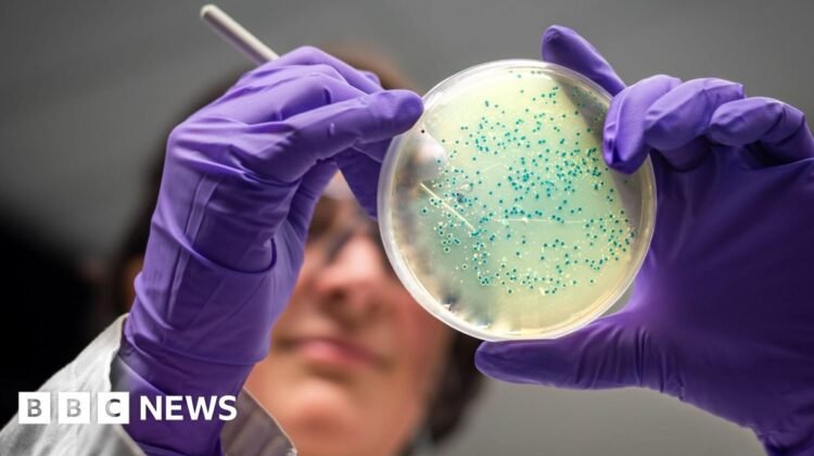 AI designs new superbug-killing antibiotics for gonorrhoea and MRSA AI designs new superbug-killing antibiotics for gonorrhoea and MRSA