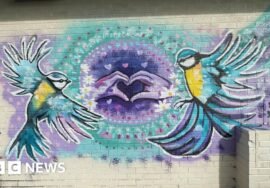 Artists help Tamworth pupils and cancer centre users create murals