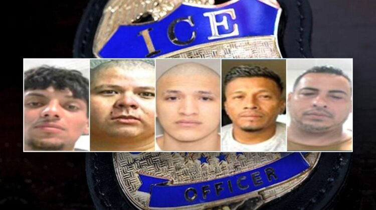 Trump administration targets criminal illegal immigrants in arrests Trump administration targets criminal illegal immigrants in arrests