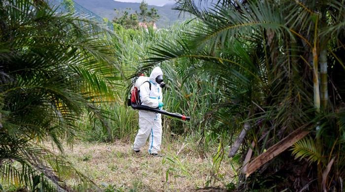 Chikungunya outbreak hits China as cases surge past 7,000