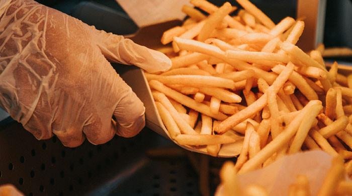 Chips pose greater health risks than other potato forms: study