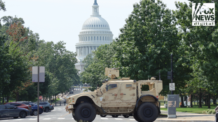White House separates 19-state National Guard immigration deployments from Trump’s DC crime operation White House separates 19-state National Guard immigration deployments from Trump’s DC crime operation