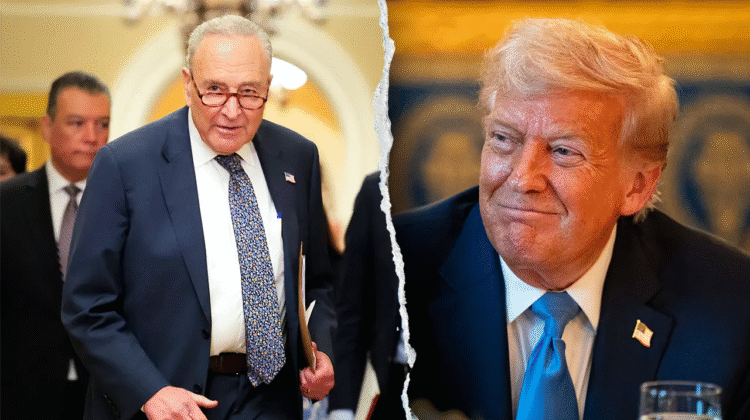 Trump accuses Senate Democrats of delaying his nominees for money