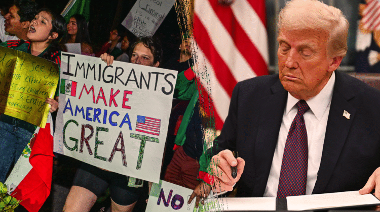ICE targets law-abiding immigrants as criminal detentions drop to 50% ICE targets law-abiding immigrants as criminal detentions drop to 50%