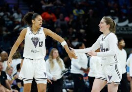 WNBA game interrupted by flying sex toy once again