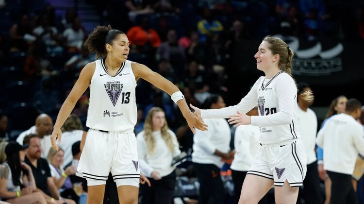 WNBA game interrupted by flying sex toy once again