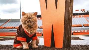 Bowling Green’s unofficial mascot – Pu…