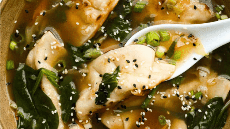 Quick Potsticker Soup Recipe (Easy and Family Friendly)